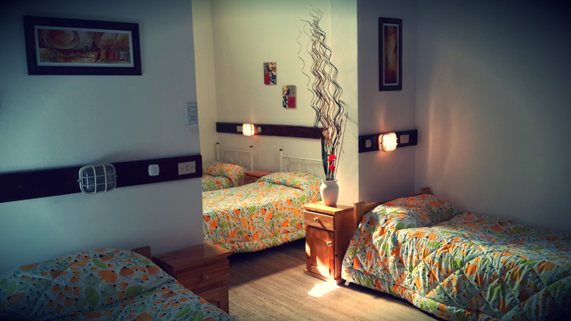 Jardín y Exteriores